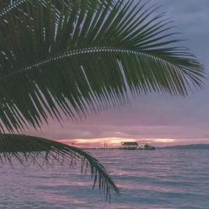 亚洲妇女无套内射
